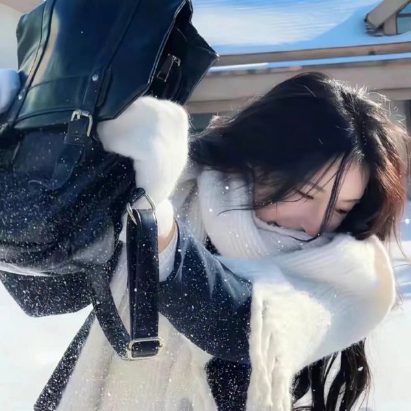 哈里的遭遇 封面